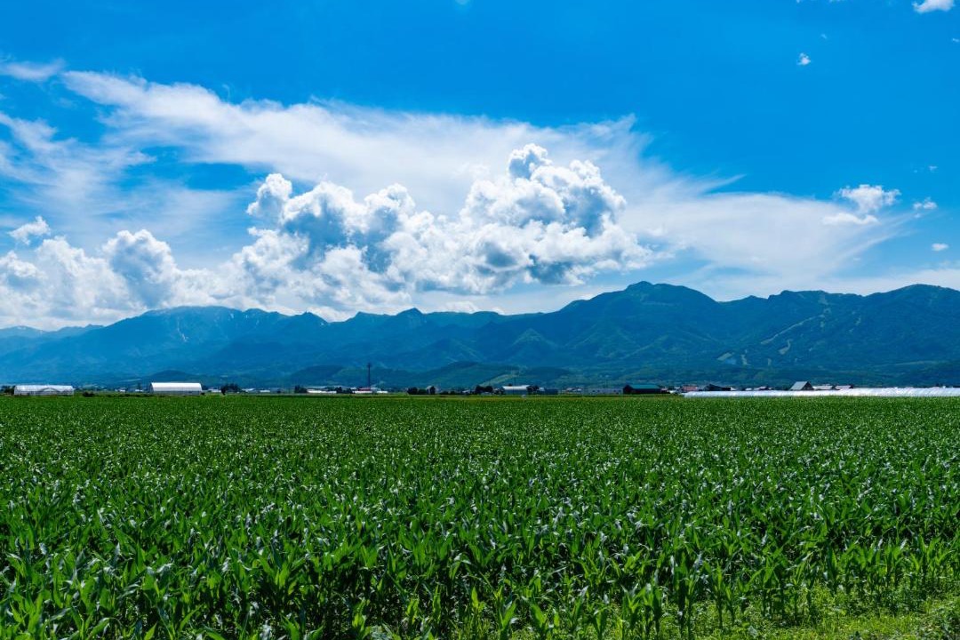 Photo of Others in Furano