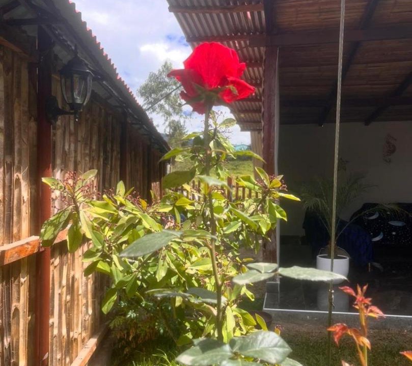 Photo of Others in Piura