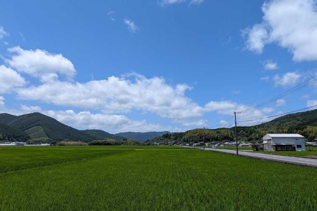 Photo of Others in Yusuhara-cho