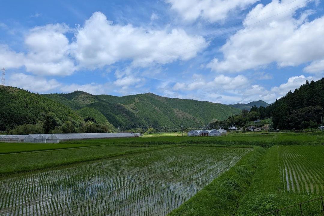 Photo of Others in Yusuhara-cho
