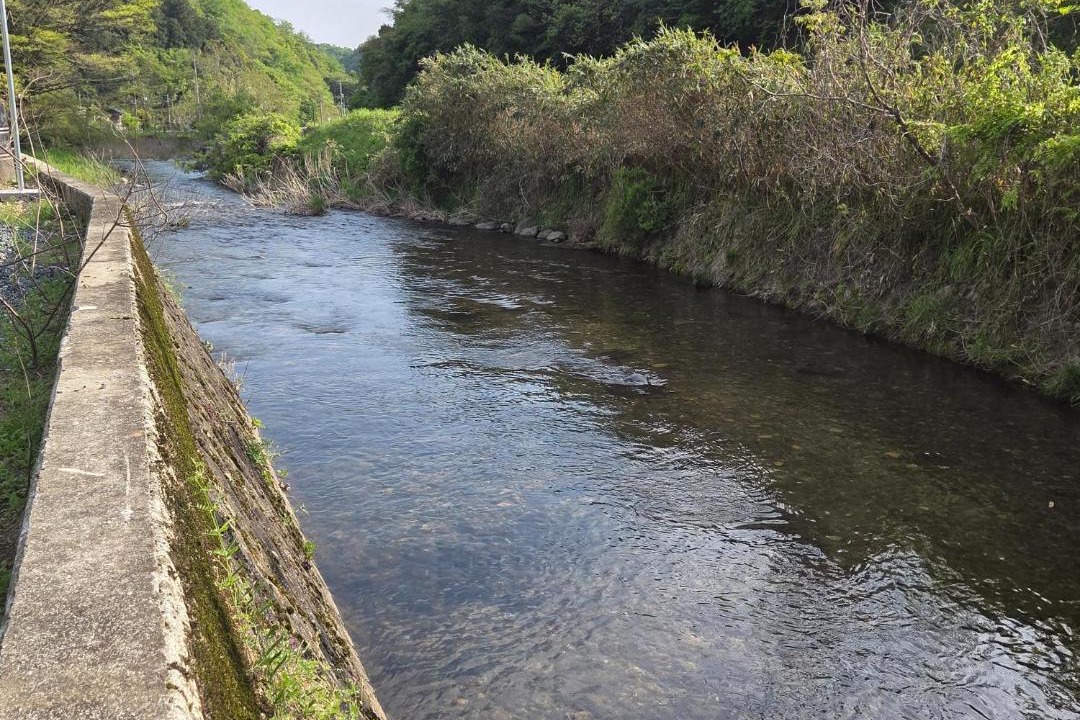 Photo of Others in Mimasaka