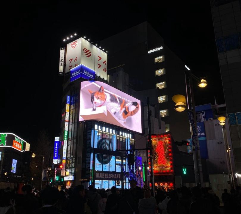 Photo of Others in Kabukicho