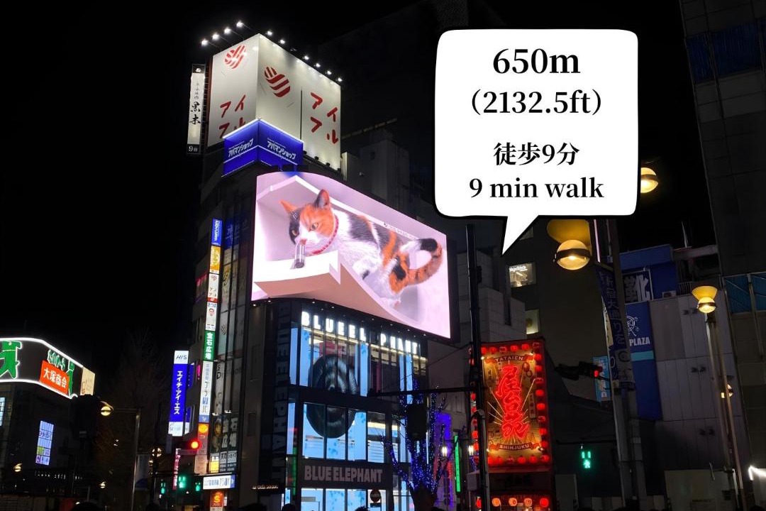 Photo of Others in Kabukicho