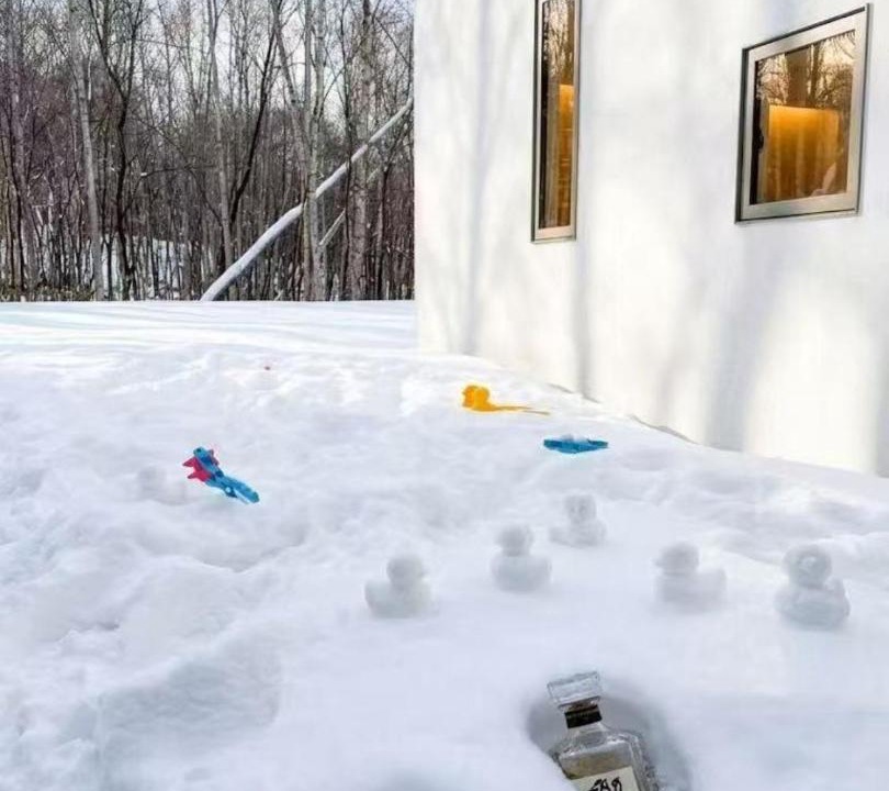 Photo of Others in Niseko