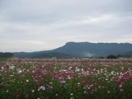Photo of Others in Nakatsu