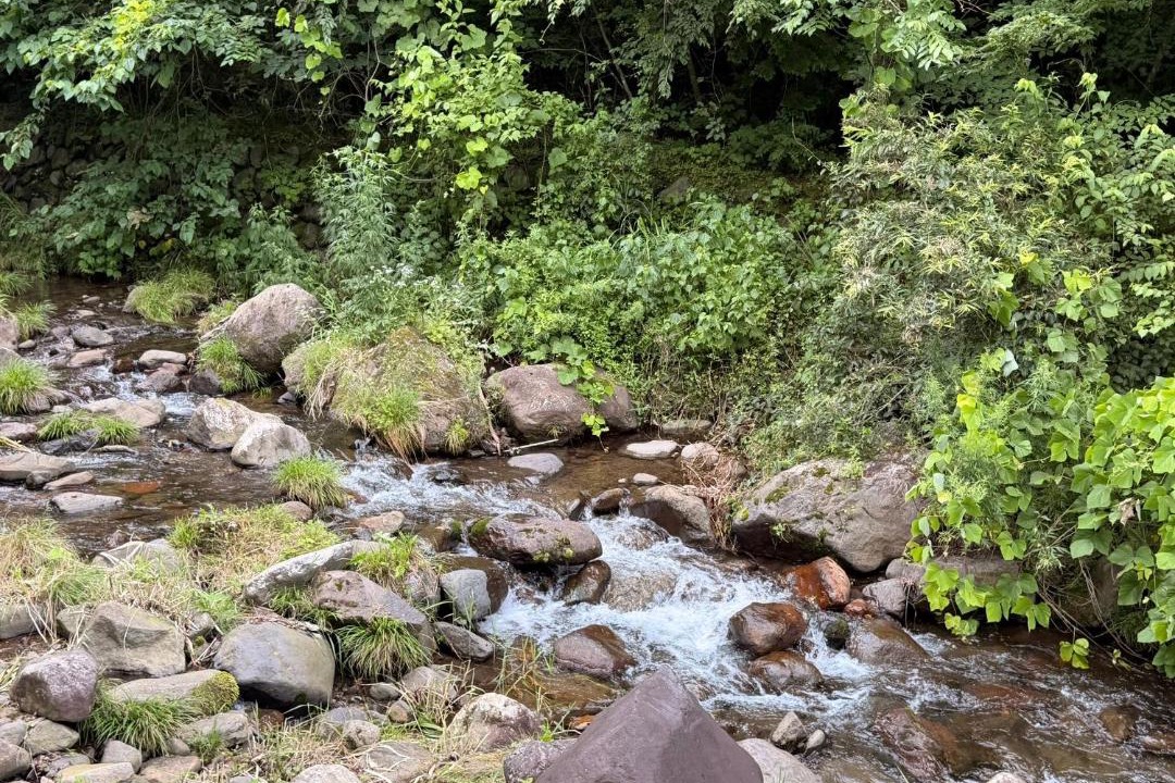 Photo of Others in Nasu