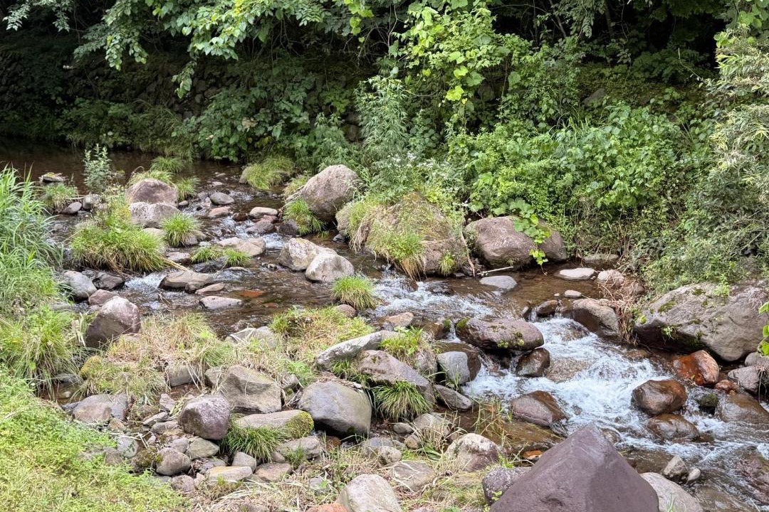 Photo of Others in Nasu