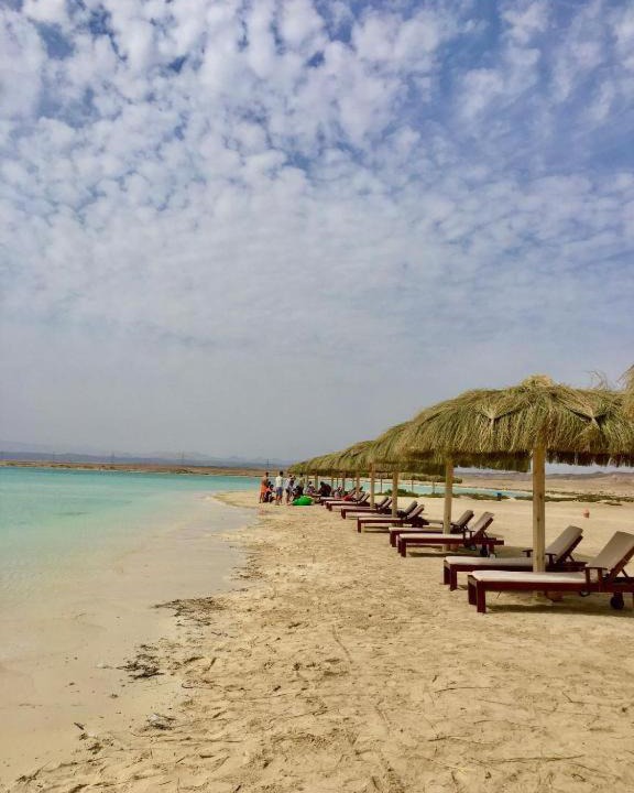 Photo of Others in Marsa Alam