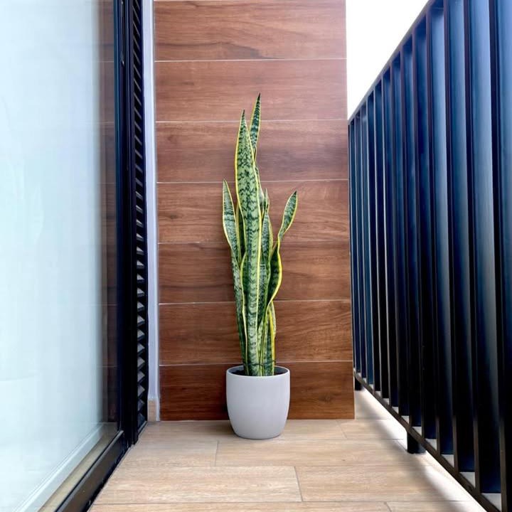 Photo of Patio Balcony in Lince