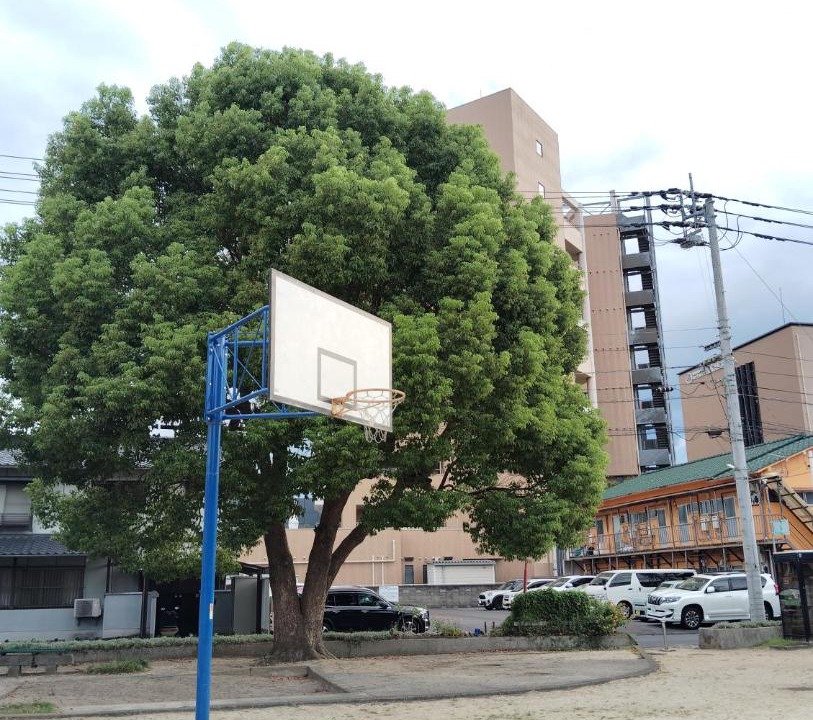 Photo of Others in Fujuoka Cho