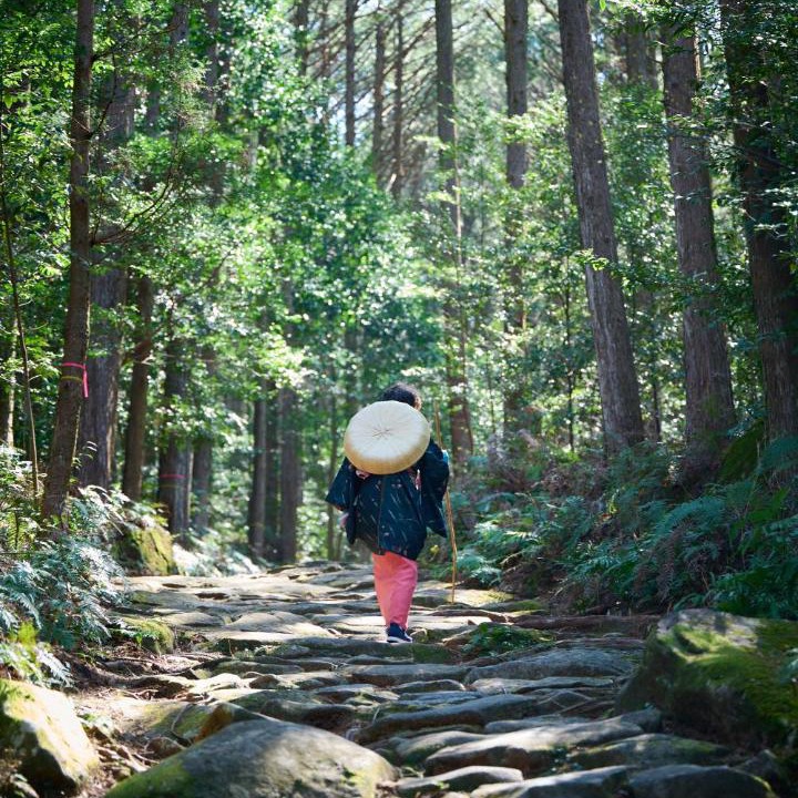 Photo of Others in Kihoku