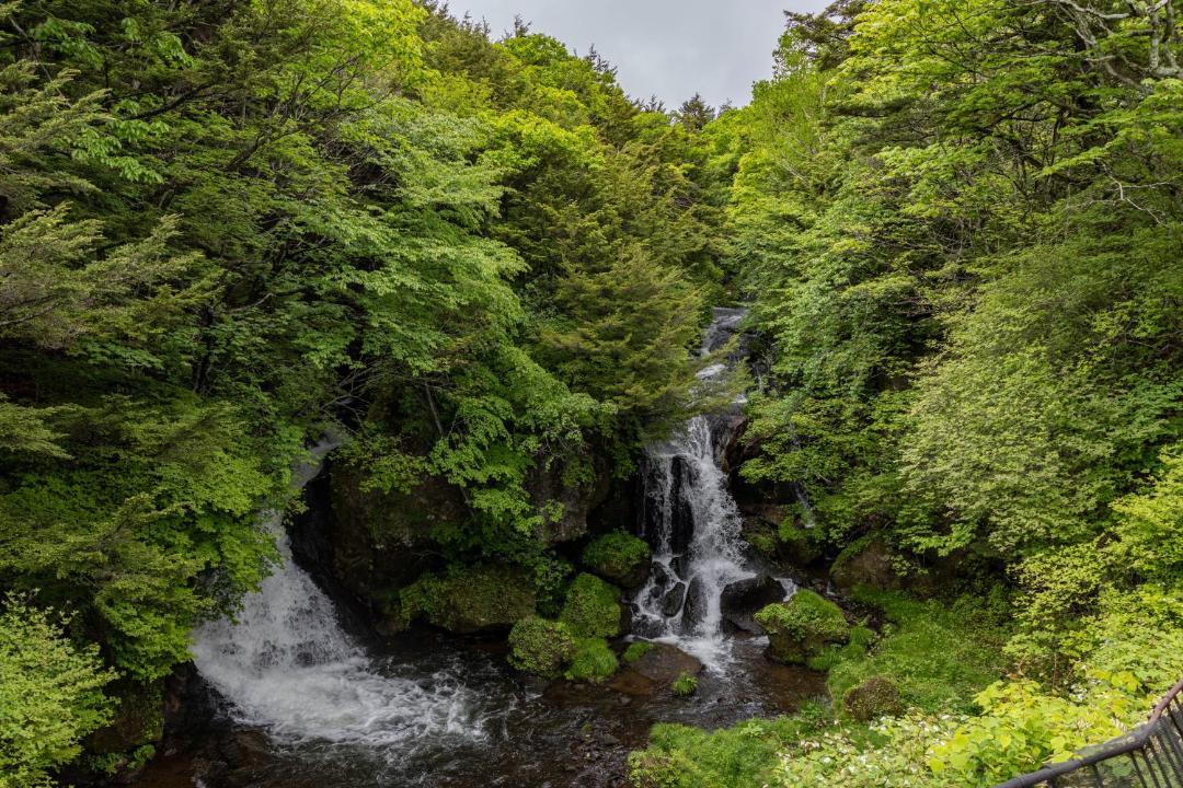 Photo of Others in Nikko