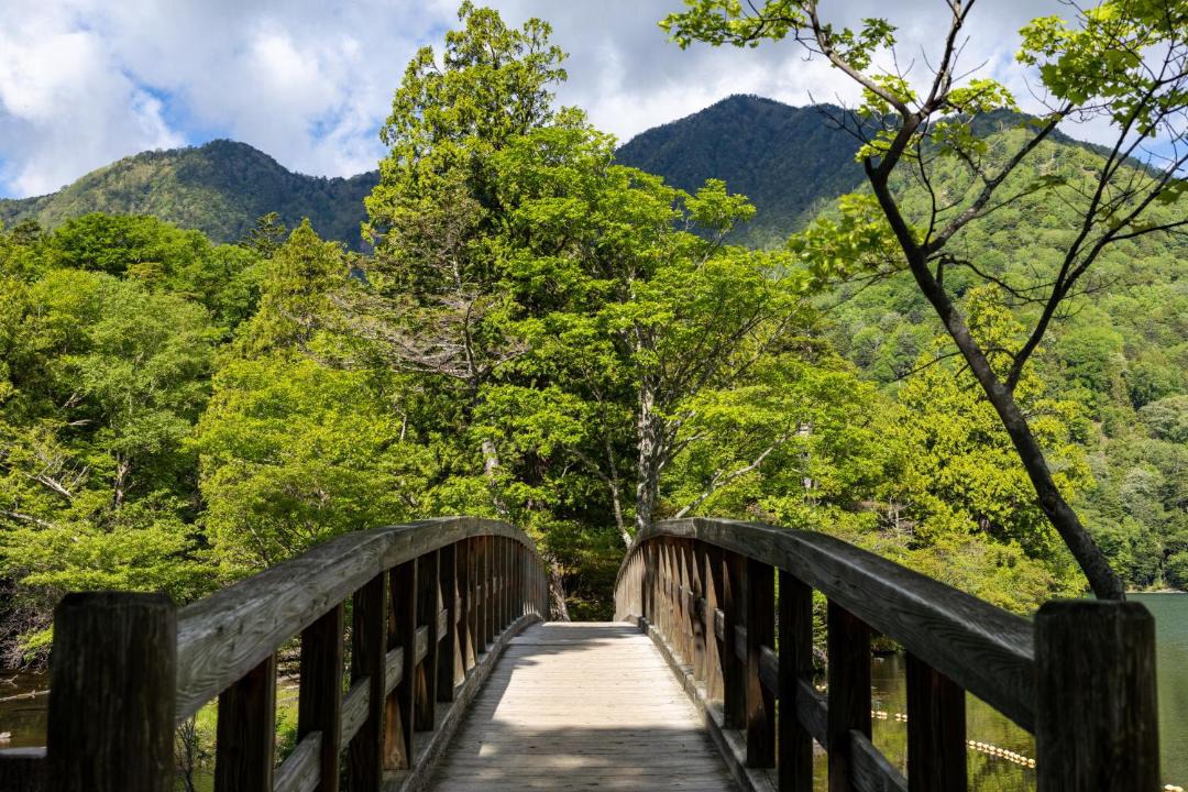Photo of Others in Nikko