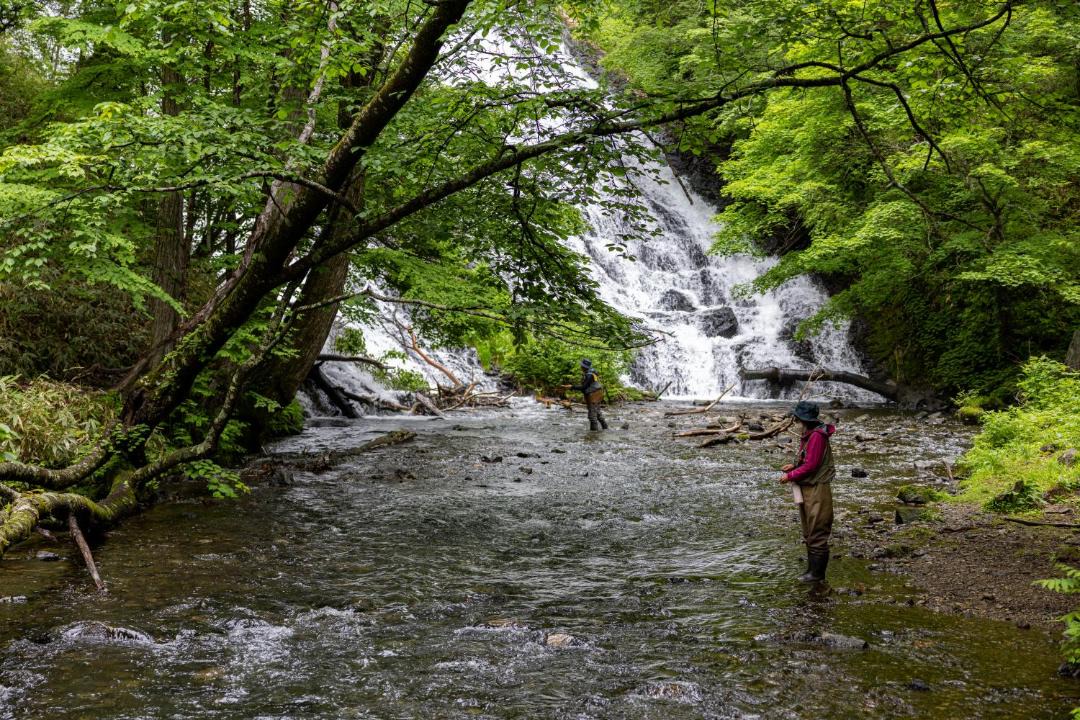 Photo of Others in Nikko