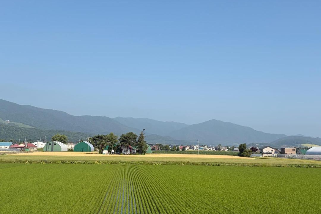 Photo of Others in Furano