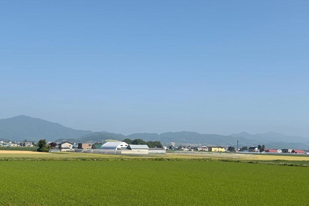 Photo of Others in Furano
