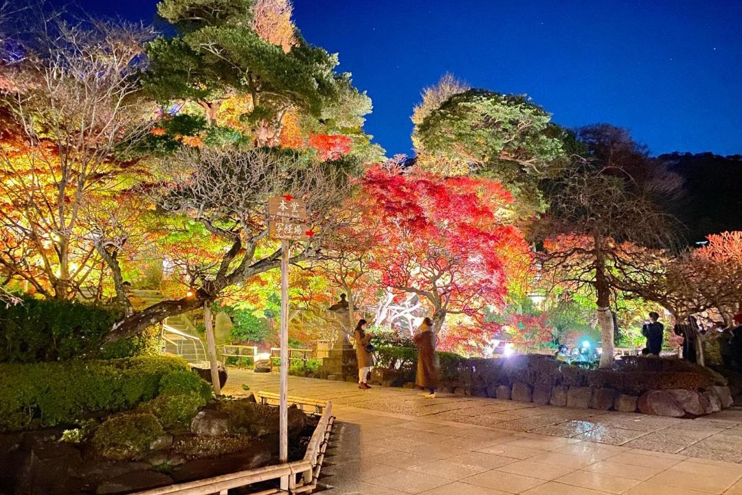 Photo of Others in Fujisawa