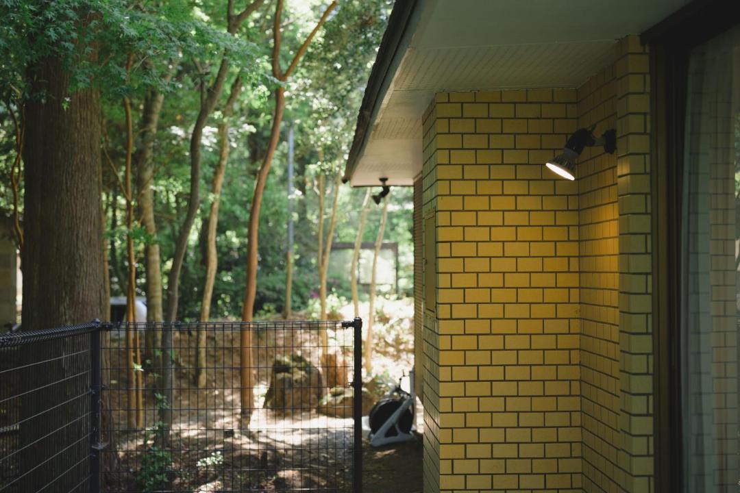 Photo of Others in Kirishima