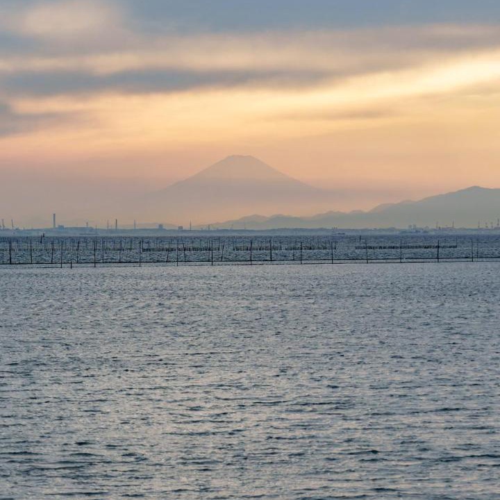 Photo of Others in Kisarazu