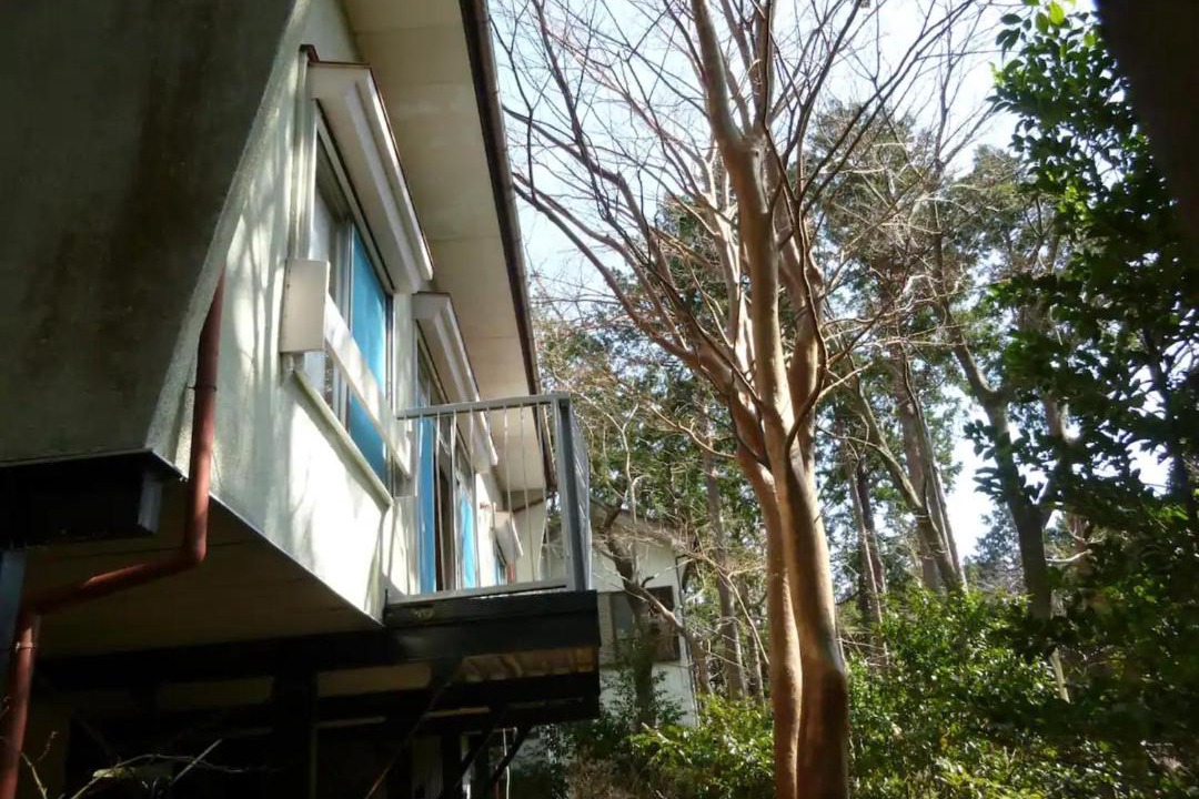 Photo of Others in Higashiizu