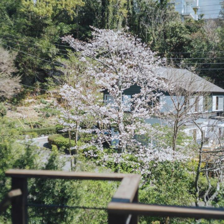 Photo of Others in Yawatano
