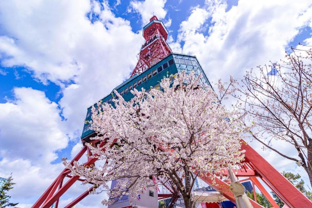 Photo of Others in Odori