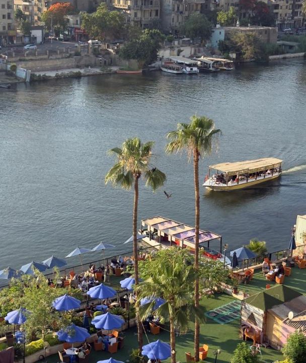 Photo of Others in Zamalek
