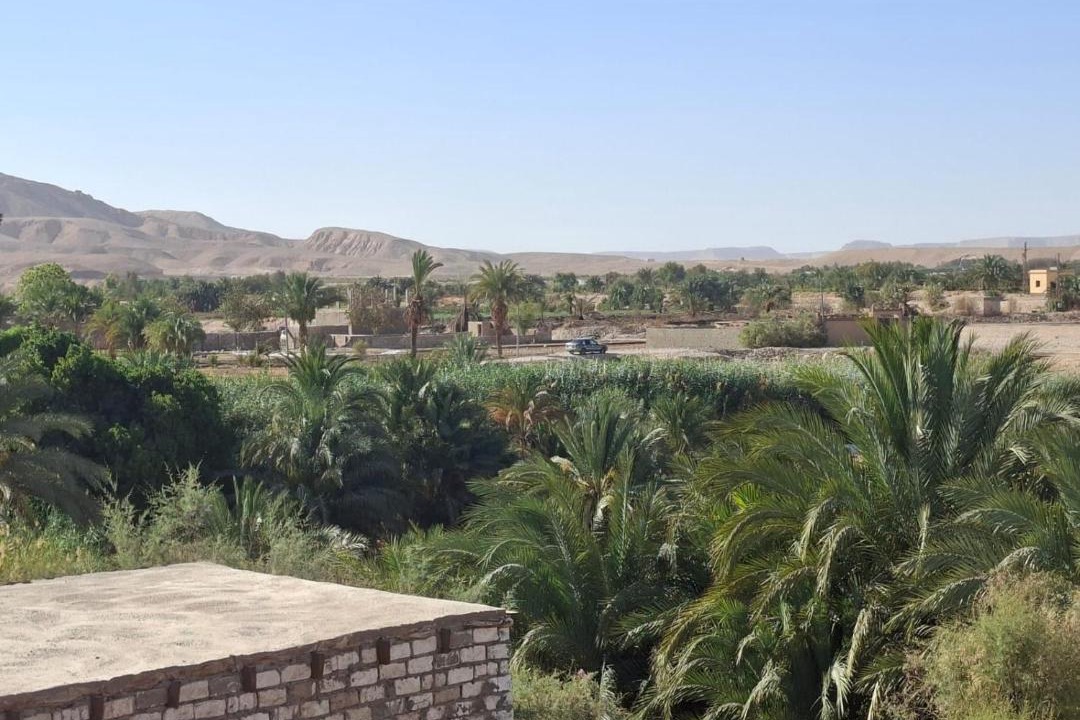 Photo of Others in Luxor