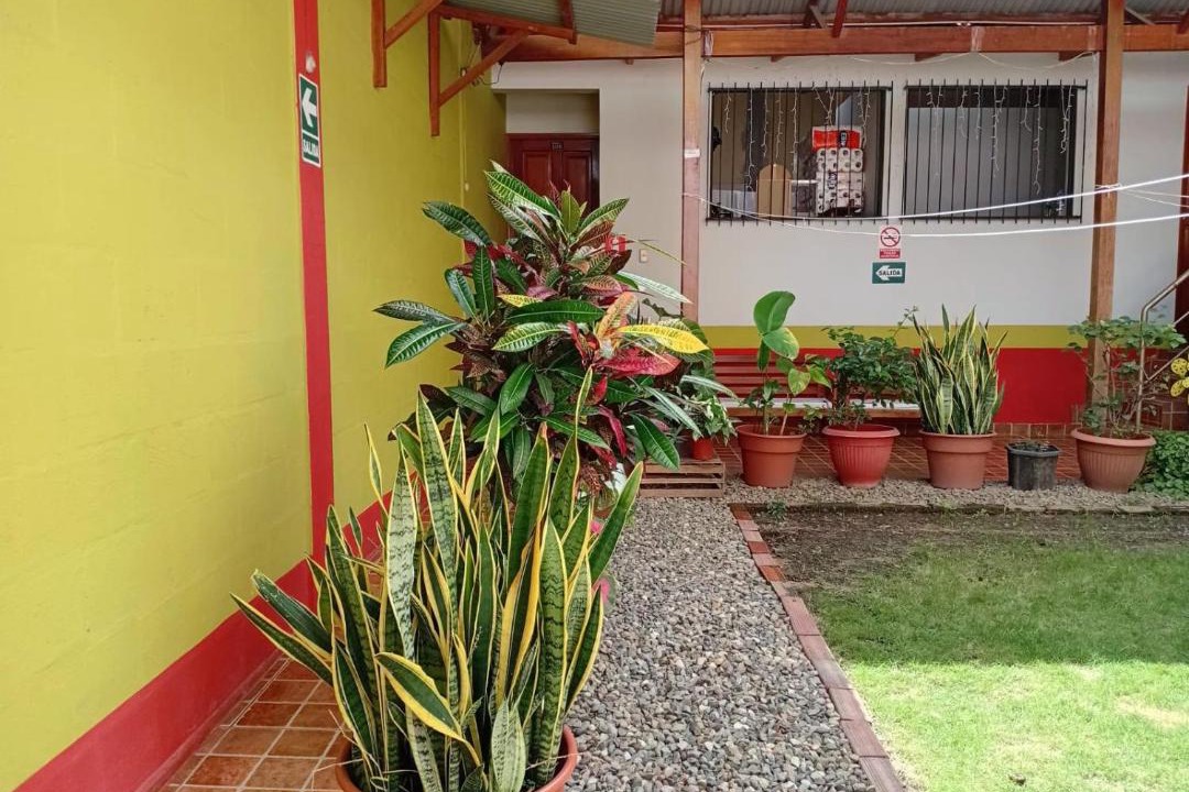 Photo of Others in Tarapoto