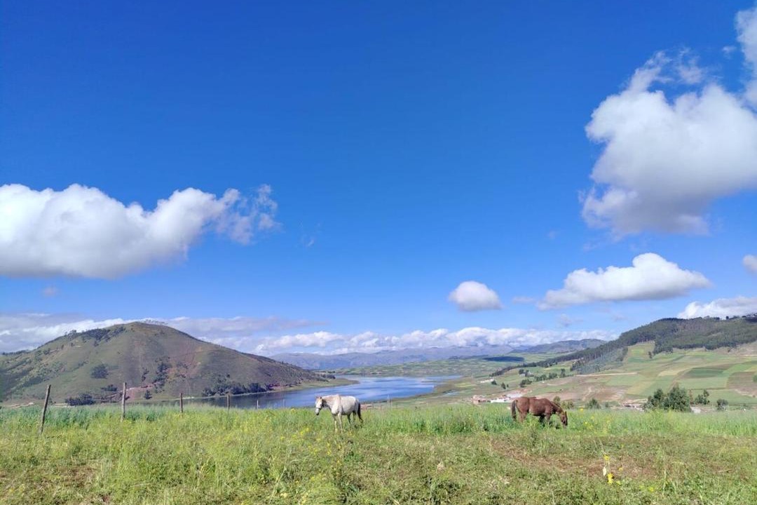 Photo of Others in Chinchero
