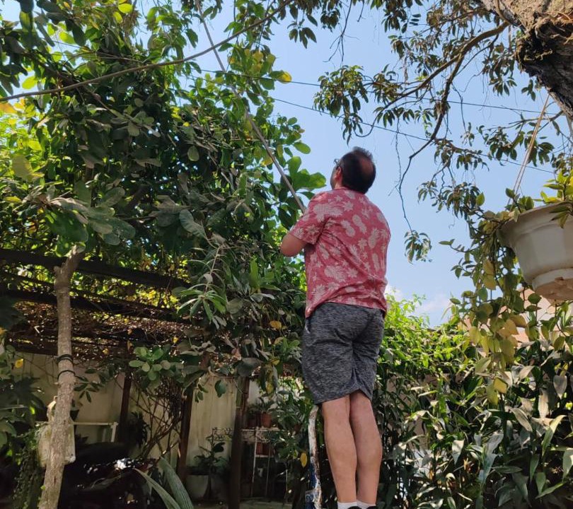 Photo of Others in Pucallpa