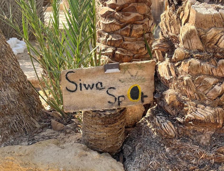Photo of Others in Siwa