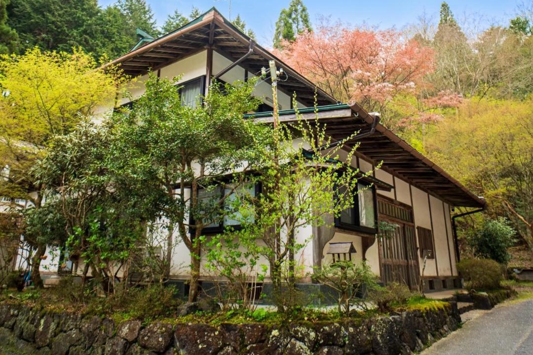 Photo of Others in Koya