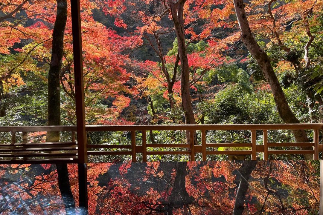 Photo of Others in Arashiyama