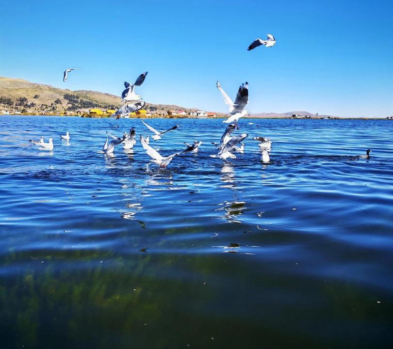 Photo of Others in Puno
