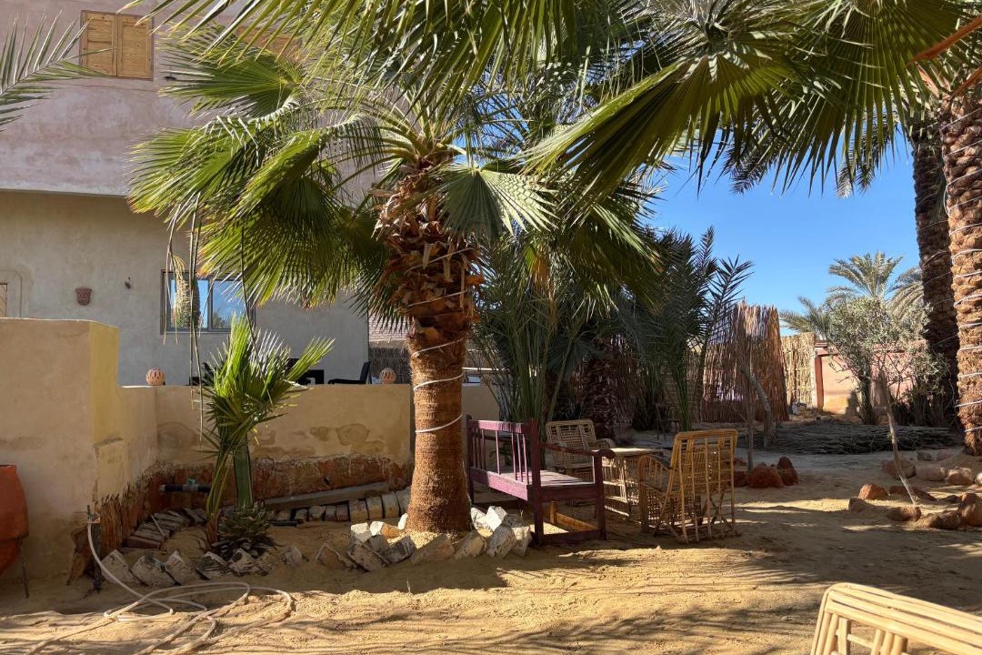 Photo of Others in Siwa