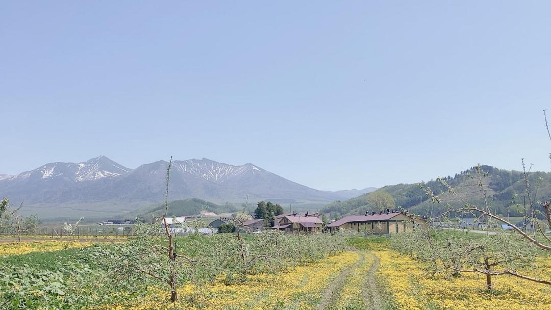 Photo of Others in Sorachi-gun