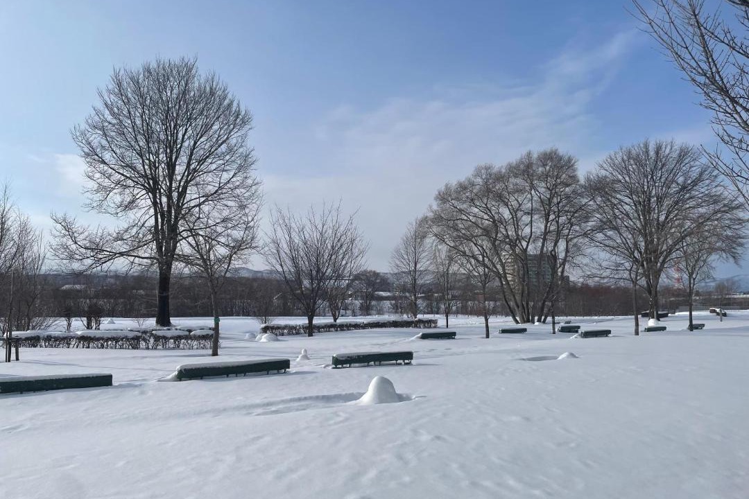 Photo of Others in Asahikawa