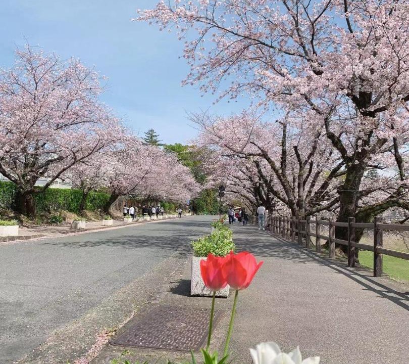 Photo of Others in Chuo Ward