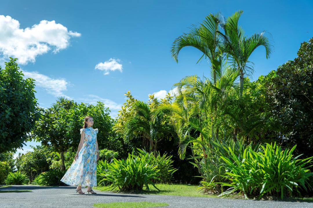 Photo of Outdoor in Okinawa