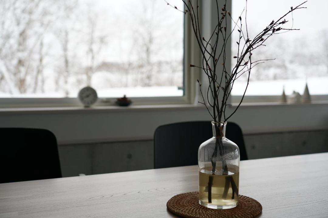 Photo of Others in Niseko