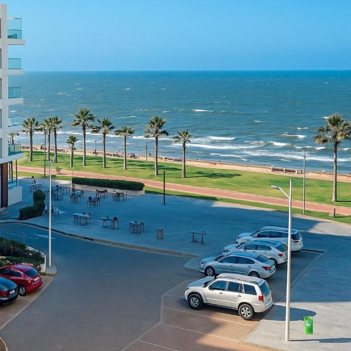 Photo of Others in Port Said