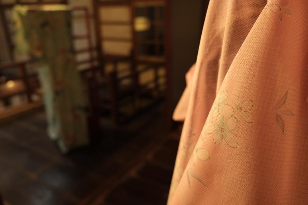 Photo of Others in Toyama