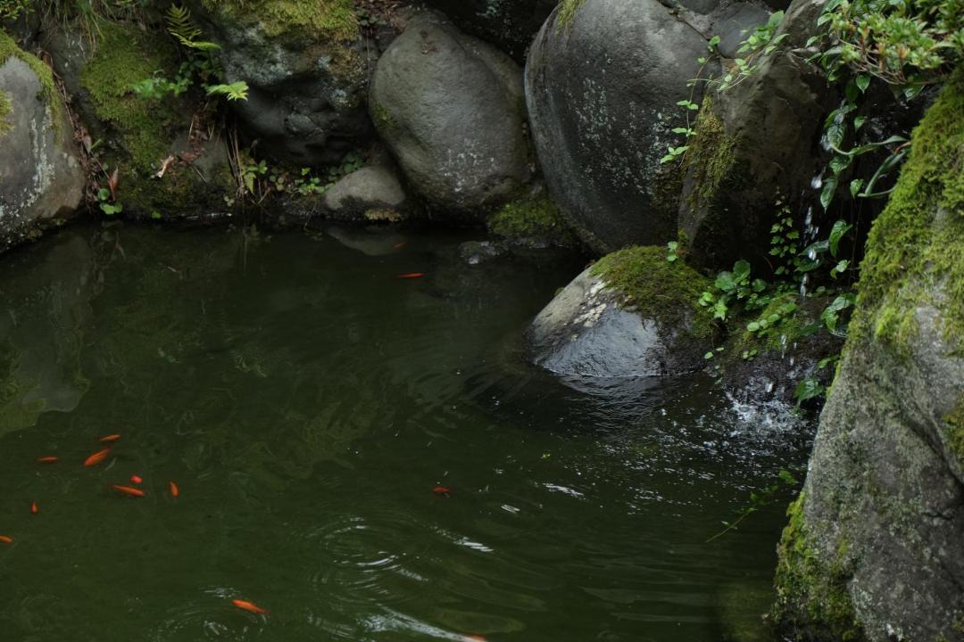 Photo of Others in Toyama