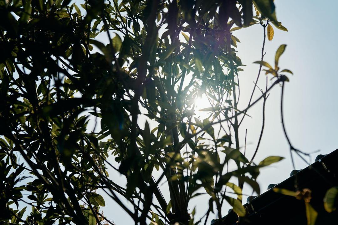 Photo of Others in Aoshima