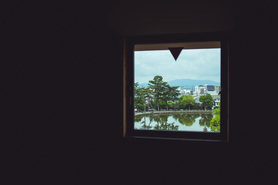 Photo of Others in Nara