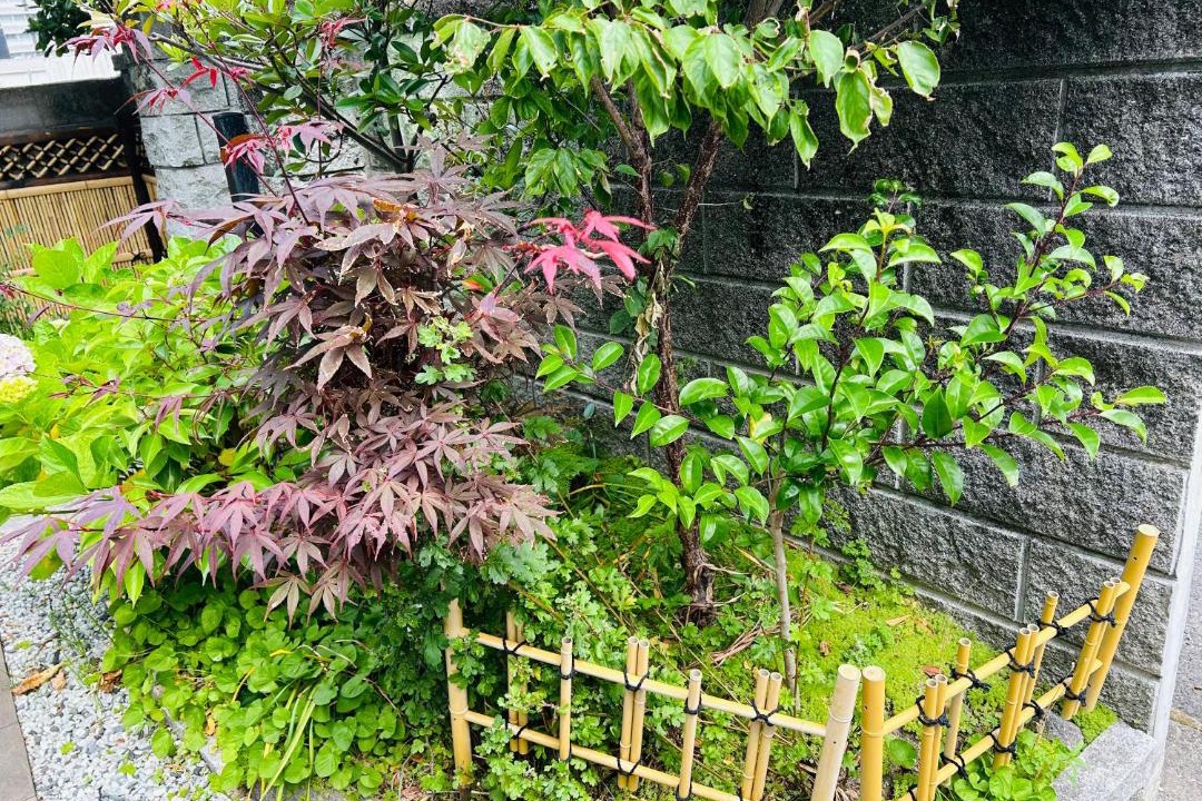Photo of Others in Hamano Cho