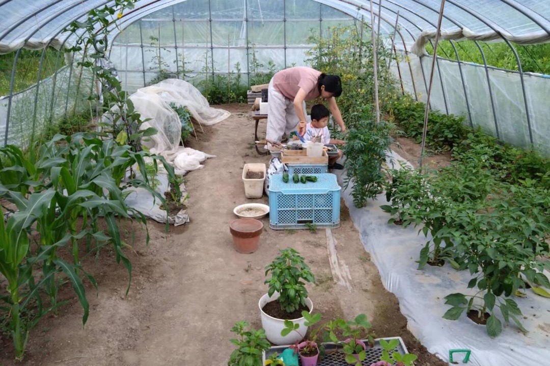 Photo of Others in Furano