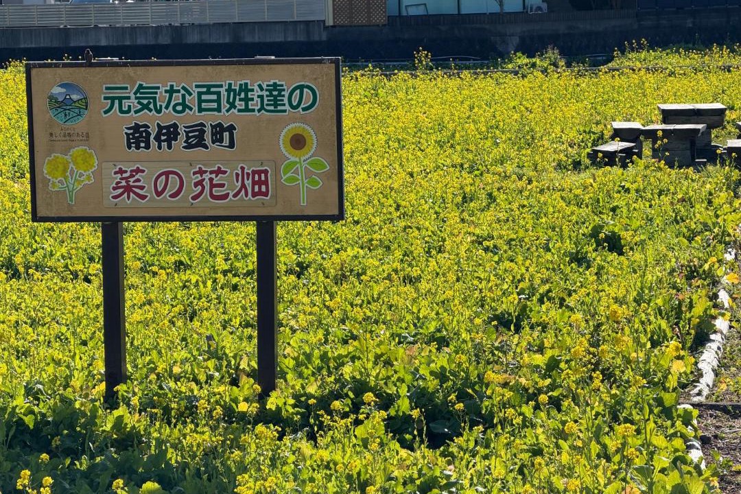 Photo of Others in Minamiizu