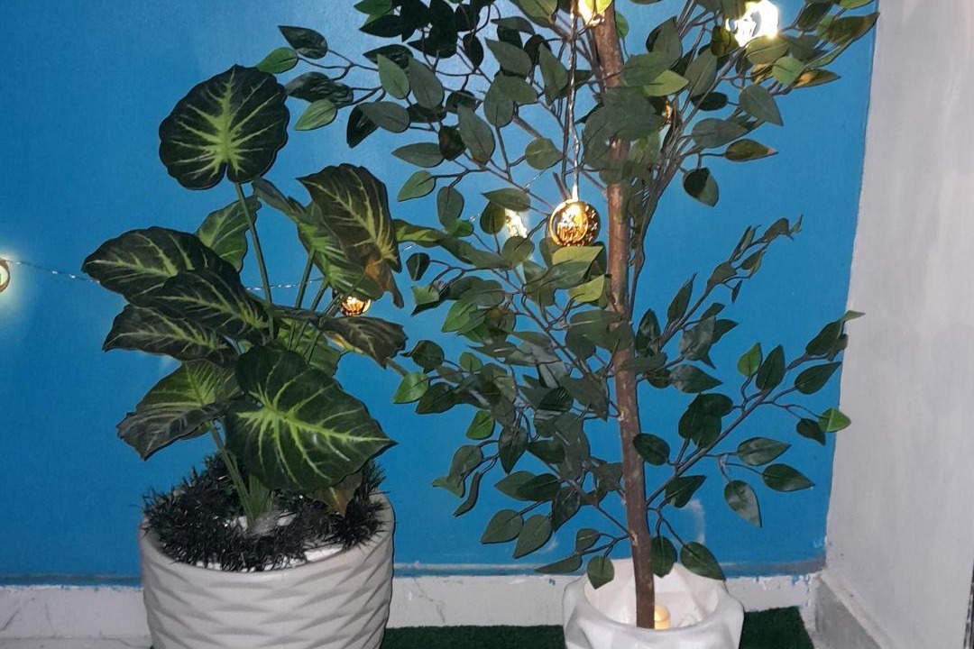 Photo of Others in Downtown Cairo